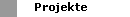 Projekte
